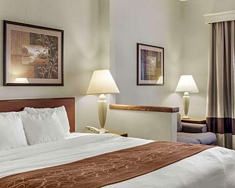 1 King Bed, Nonsmoking