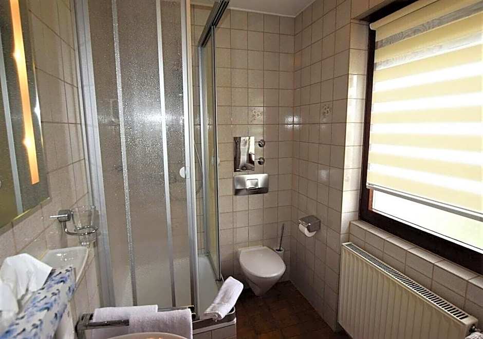 Hotel Alena