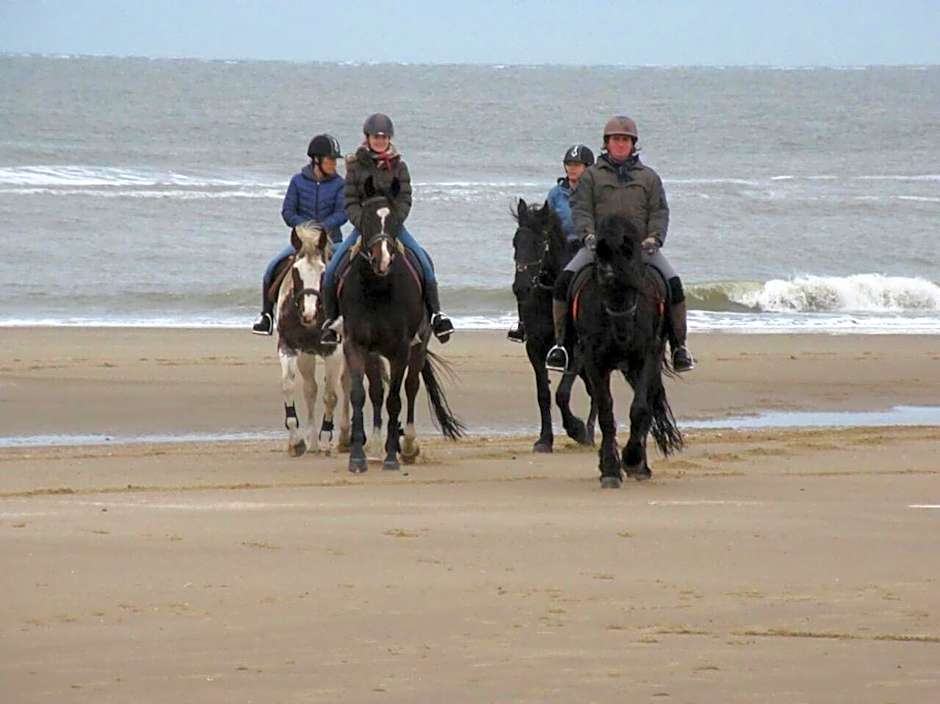 B&B boerderij rust, in pipowagens!