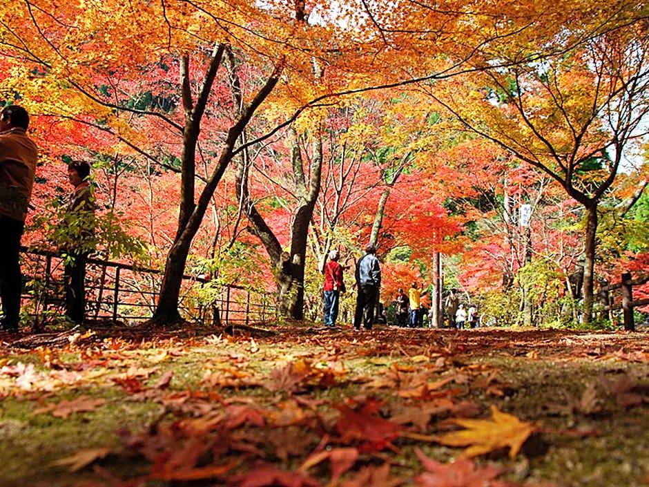Yasashisanoyado Chikutei