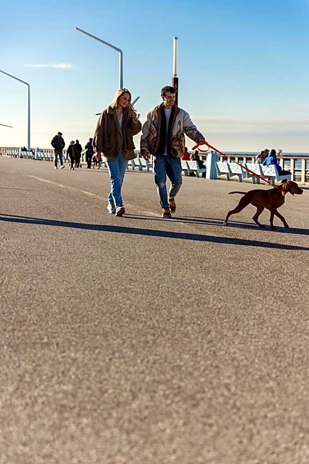 Ocean House Scheveningen