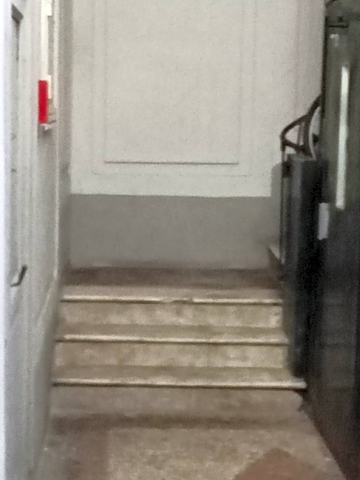 Dama HostelBB