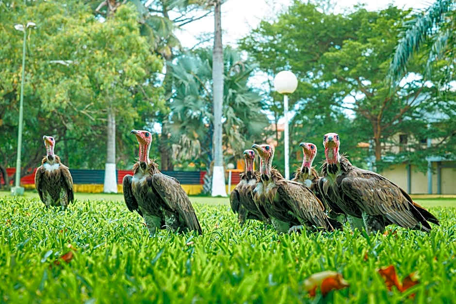 Senegambia Beach Hotel