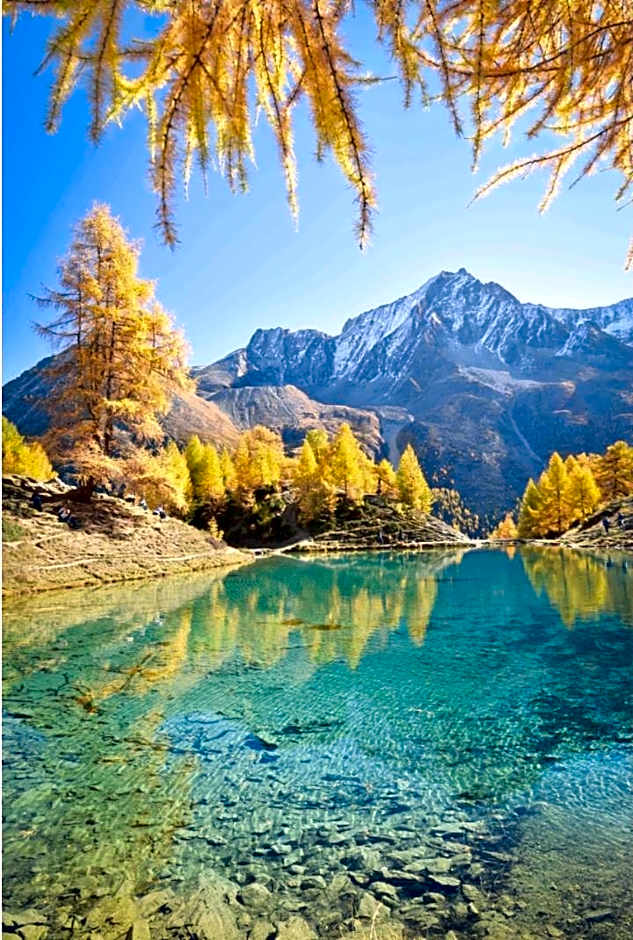 Grand Hôtel & Kurhaus