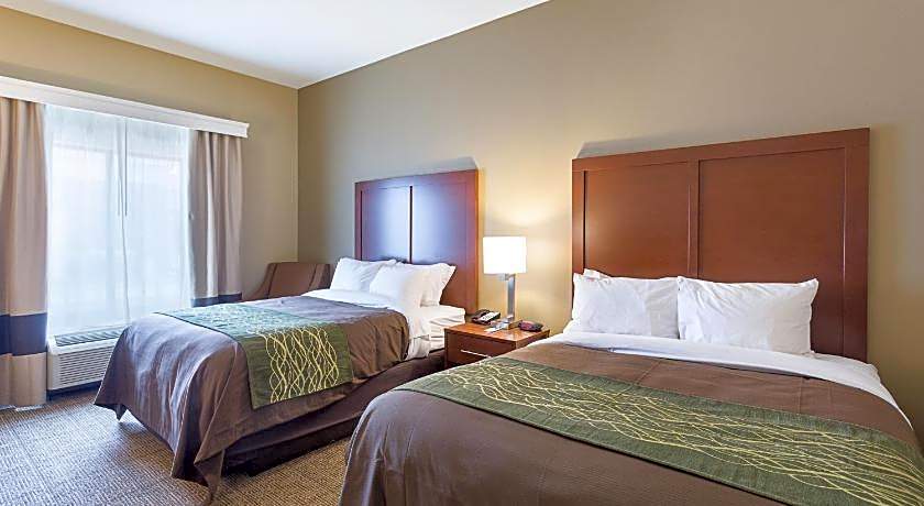 Comfort Inn & Suites Zachary