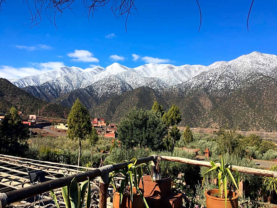 Auberge Chez Momo II