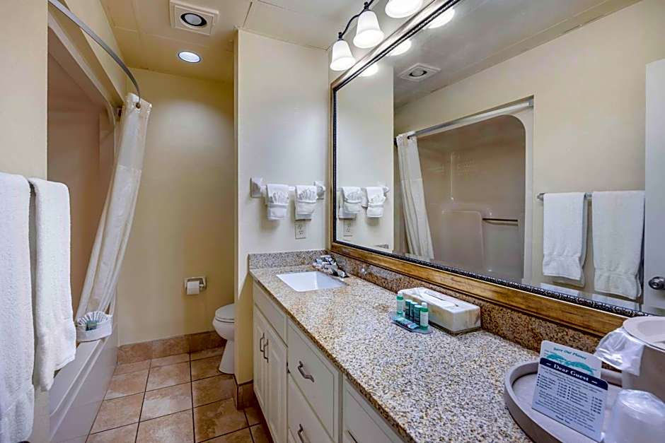 Best Western Spring Hill Inn & Suites