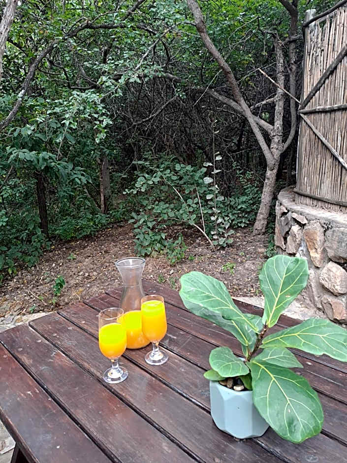 LittleBush Private Lodge