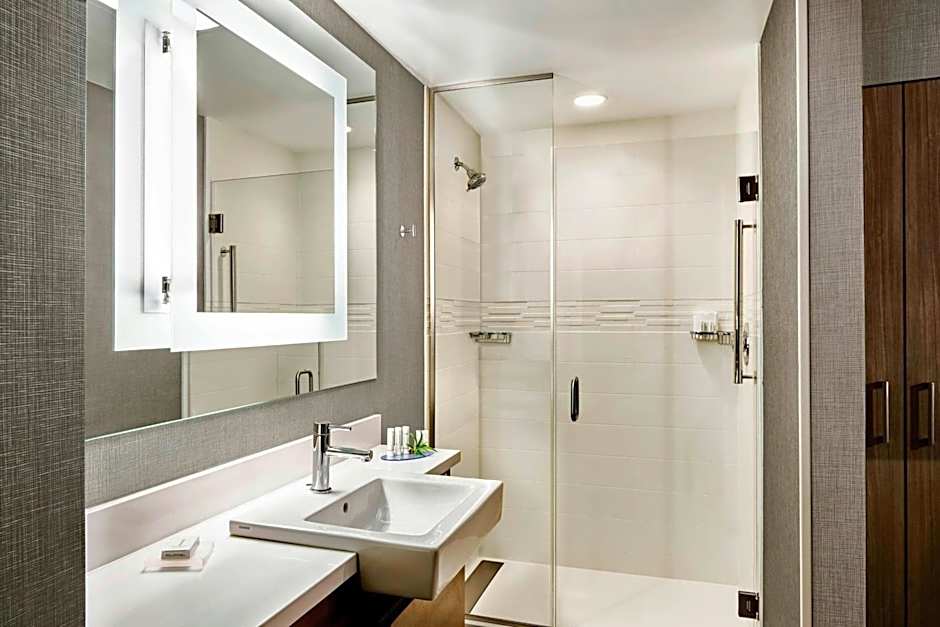 SpringHill Suites by Marriott Appleton