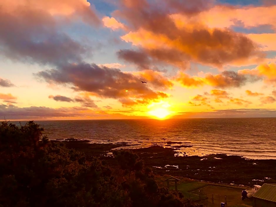 Sea Song, Selkie House