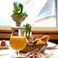 Hotel Trabener Hof