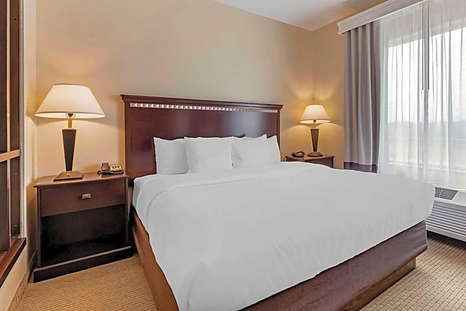 Comfort Suites Palestine