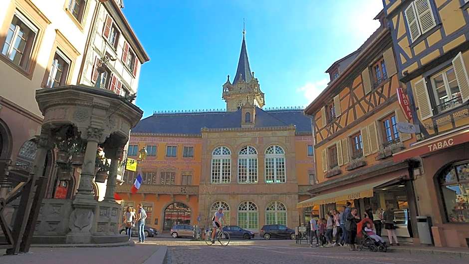 VVF Plaine d'Alsace Obernai Strasbourg