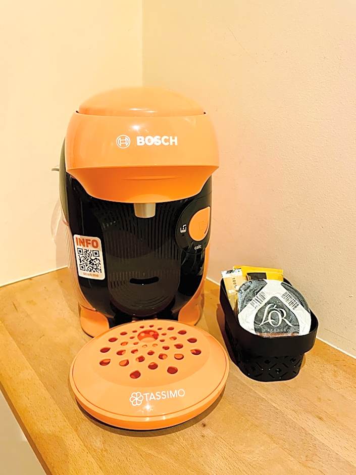 Appart'Hôtel - Au Vieux Palais