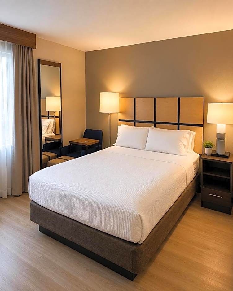 Candlewood Suites Windsor Locks By IHG