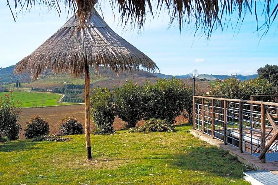 Il vecchio seccatoio