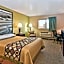 Super 8 by Wyndham Rochelle