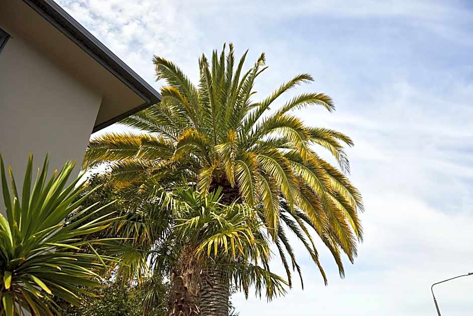 Blenheim Palms Motel