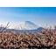 Odawara Terminal Hotel - Vacation STAY 83672v