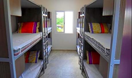 Bunk Bed in Female Dormitory Room