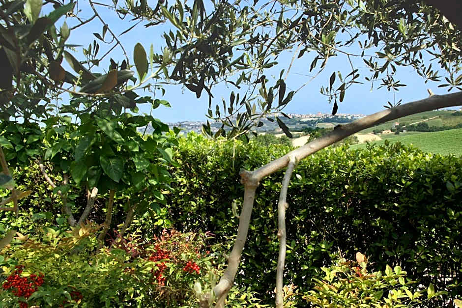 Ai Quattro Ulivi B&B