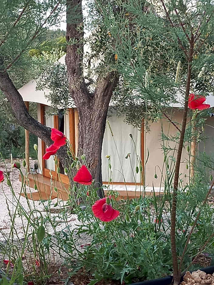 HMO Glamping & Suites in Vignanotica