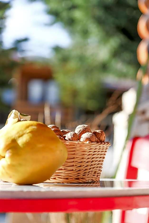 Orias Guesthouse & Farm