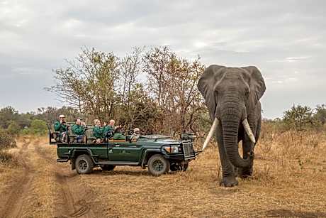 Shiduli Private Game Lodge