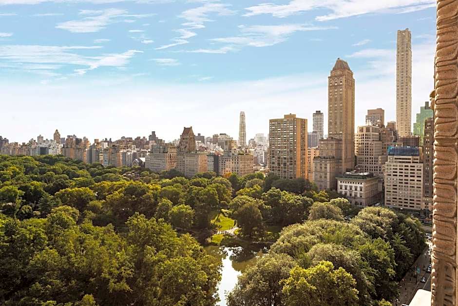 The Ritz-Carlton New York, Central Park