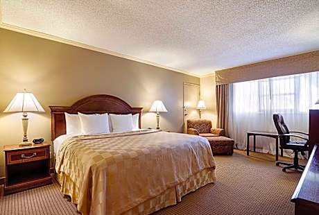 1 King Bed, Nonsmoking, Accessible