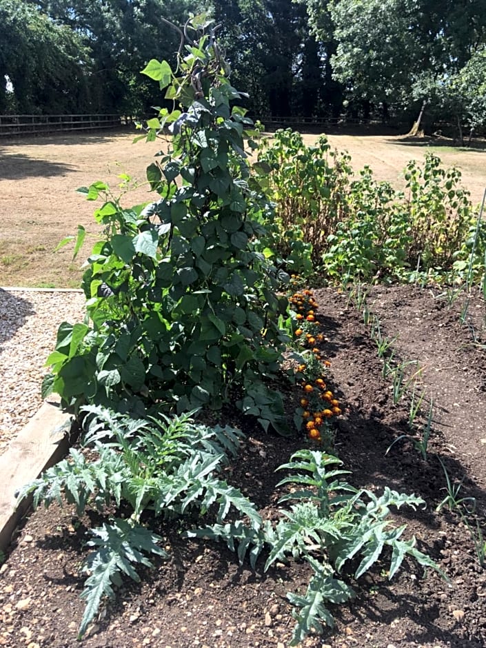 Field End House Strawberry Lane Meysey Hampton