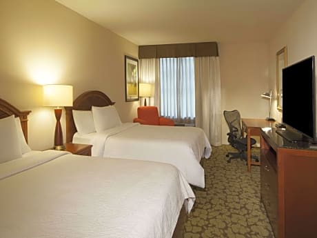 1 King Bed 1 Bedroom Suite With Sofabed