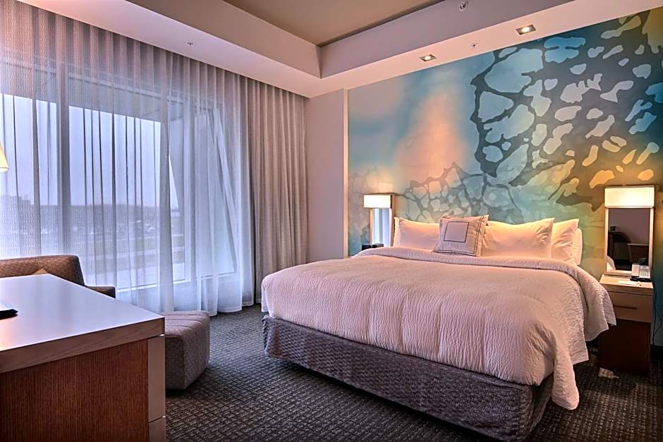 Photo 1 of 4 of Superior 1 King Bed with Sofabed