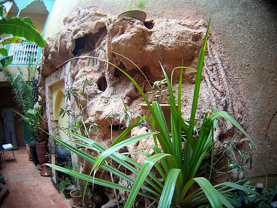 Riad Dar Mchicha