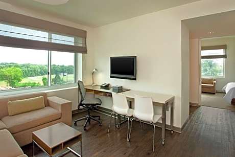 Executive Suite, 1 King, Sofa bed