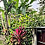 Balian Bliss Retreat Bungalow & Villas
