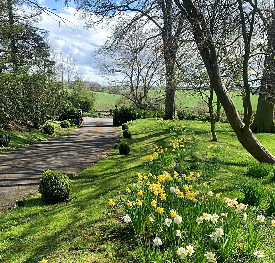 Dalton House Bed and Breakfast