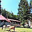 Hotel Korab Trnica