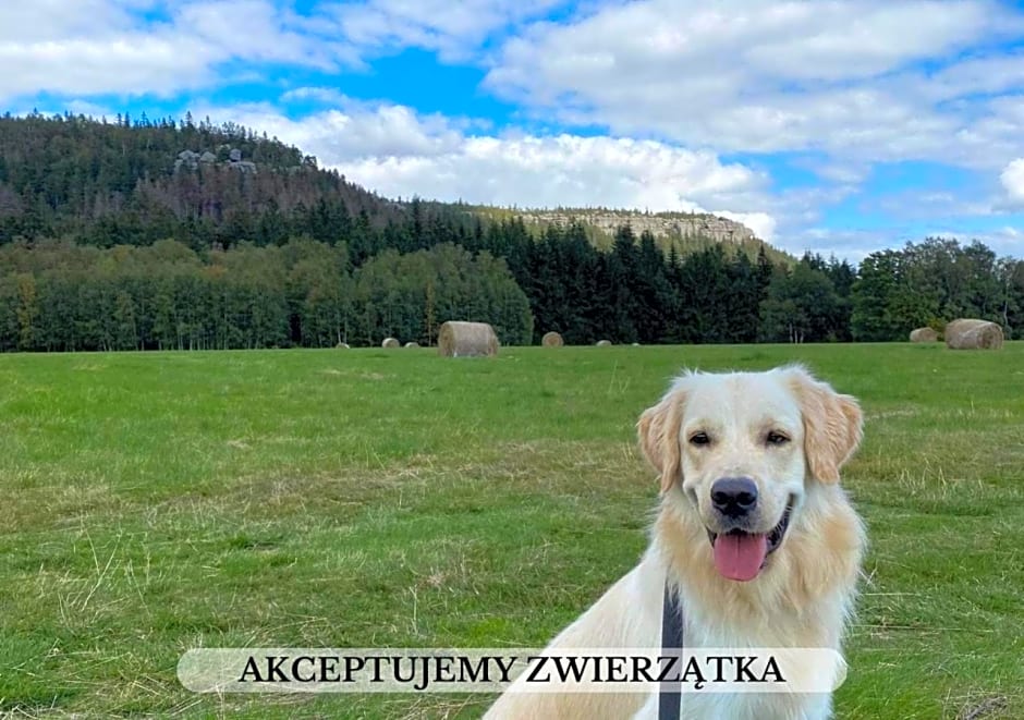 Michałówka Pokoje i Domki
