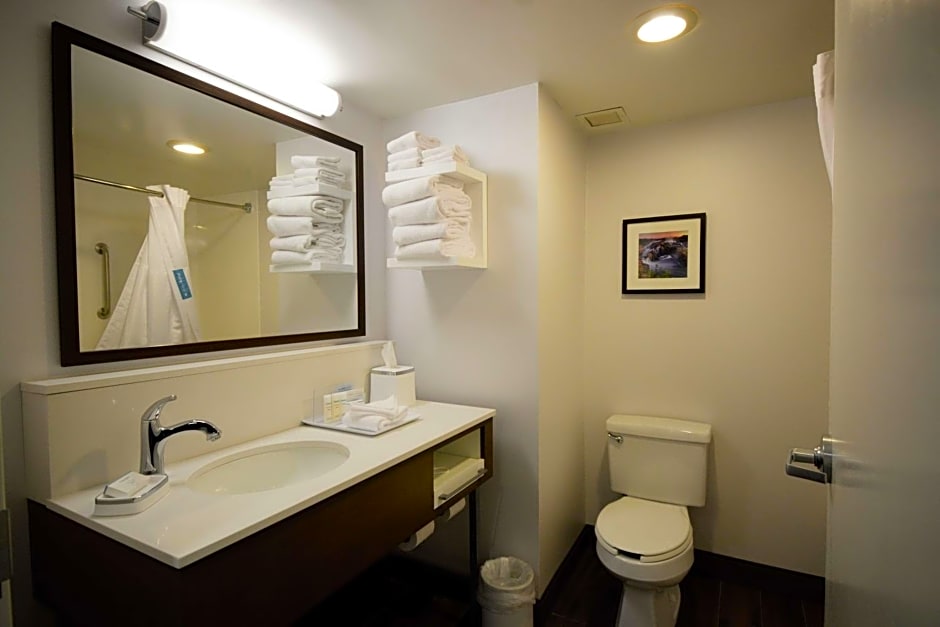 Hampton Inn By Hilton Roanoke/Salem