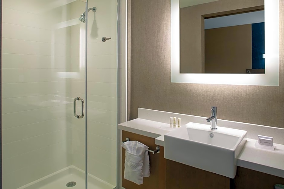 SpringHill Suites by Marriott Kansas City Lenexa/City Center