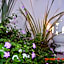 Bed and breakfast Villa Tota