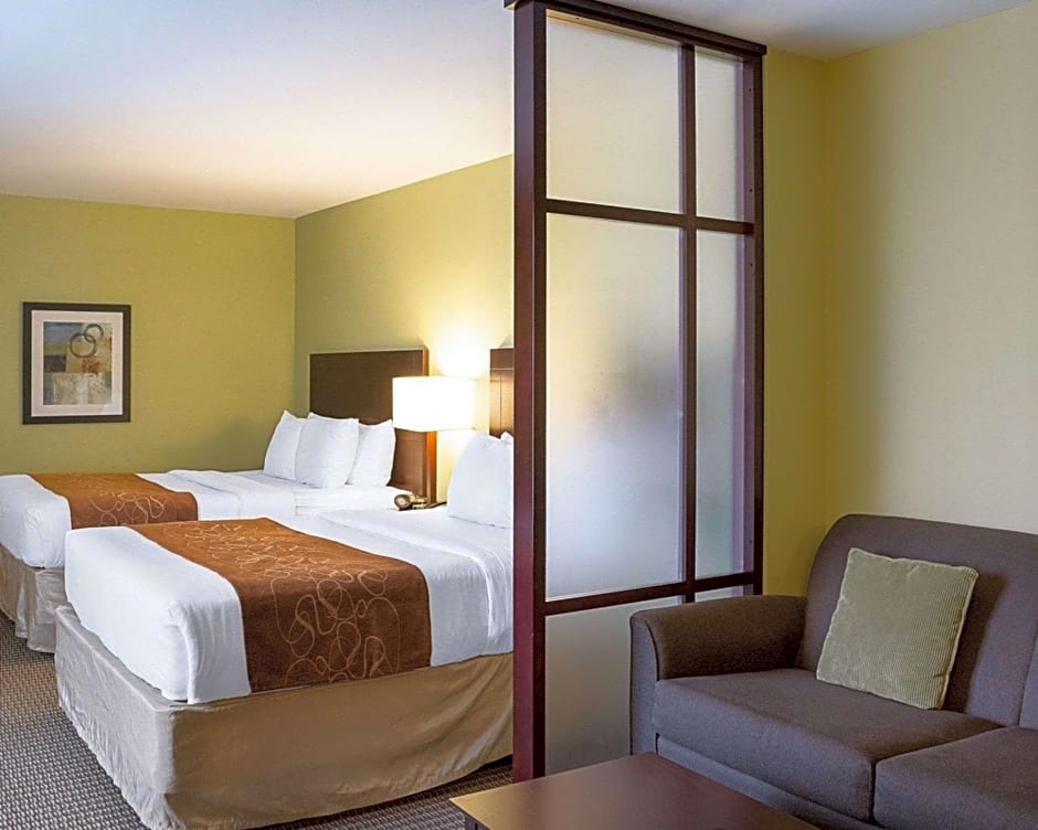 Comfort Suites Harvey - New Orleans West Bank