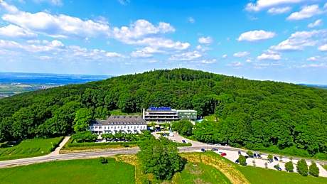 Berghotel Tulbingerkogel