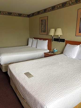 King Room - Disability Access