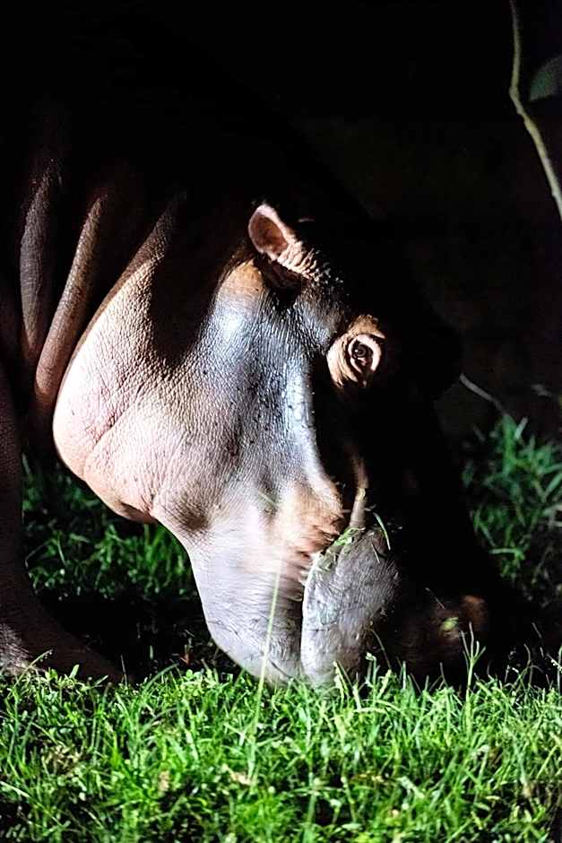 Whalesong Guest House