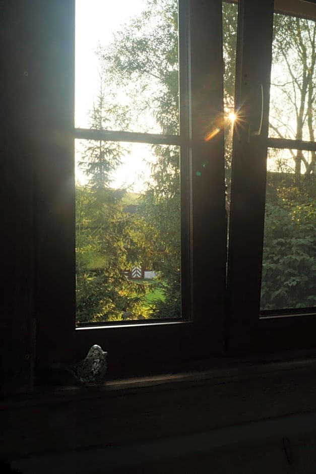 Smolnikowe Klimaty - Chyżula - Sauna&amp;Jacuzzi