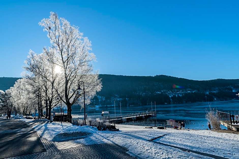 Hotel Bären Titisee