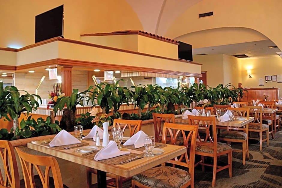 Holiday Inn La Piedad By IHG