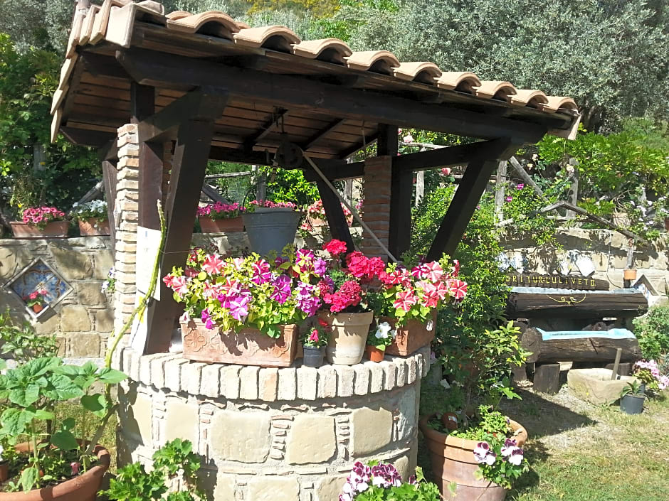 Agriturismo L'Uliveto